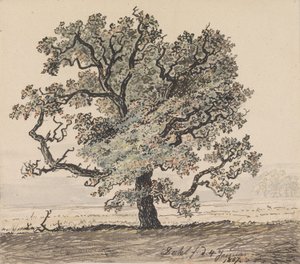  de Johan Christian Dahl