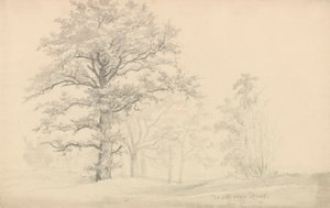  de Johan Christian Dahl