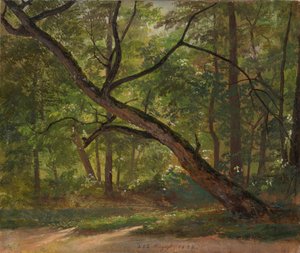 Lote en el Gran Jardín cerca de Dresde de Johan Christian Dahl