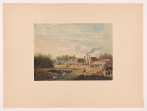 Fábrica de Pangka cerca de Tegal en Java Central Fábrica de azúcar Pangka; Residencia Tagal Java después de pinturas y dibujos de A. Salm (título de la serie) de Johan Conrad Greive