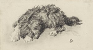 Perro dormido de Johan Daniël Koelman