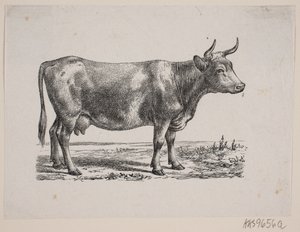 Una vaca de Johan Frederik Rosenstand