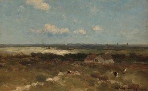 Paisaje de dunas