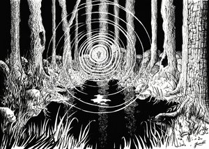 Ondas del bosque místico de Johan Liewendahl