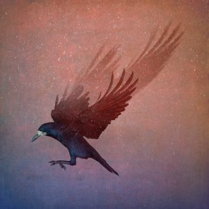 Bird Kingdom, 2018 (arte fotográfico) de Johan Lilja