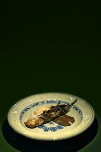 Placa de pájaro, 2015 (fotografía) de Johan Lilja