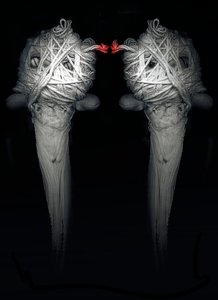 Hermanos, 2013 (fotografía) de Johan Lilja
