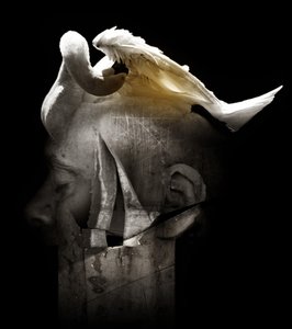 Cisne, 2013 (fotografía)