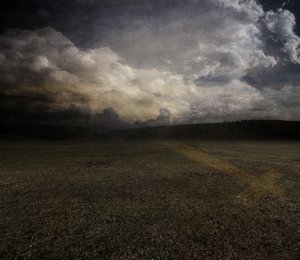 Tulipán, 2015 (fotografía) de Johan Lilja