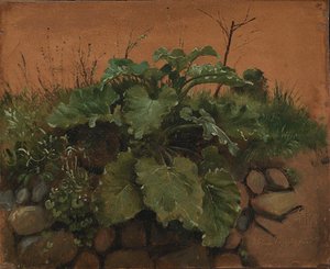 Una Bardana y Otras Plantas en un Muro de Piedra de Johan Thomas Lundbye