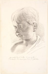Cabeza de Británico. 3/4 perfil hacia la izquierda de Johan Thomas Lundbye