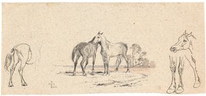 Los dos caballos; y estudio de caballos