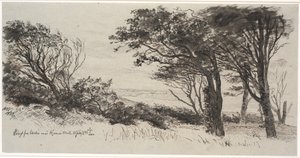 Árboles azotados por el viento. Vejrhøj de Johan Thomas Lundbye