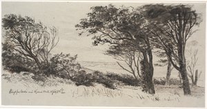 Árboles azotados por el viento. Vejrhøj de Johan Thomas Lundbye