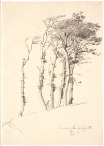 Grupo de árboles azotados por el viento de Johan Thomas Lundbye