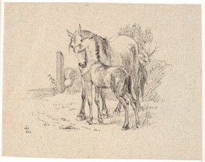 El caballo y el potro