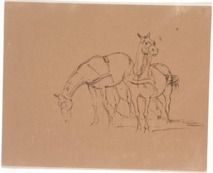 Carruaje de caballos