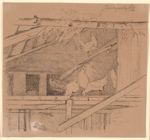 Gallinas en un Ático