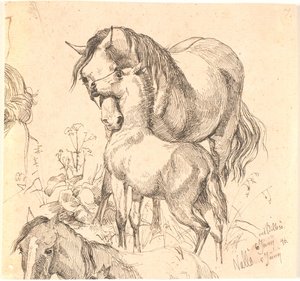 La yegua y el potro, estudio de caballo (espalda y cabeza) y orejas de un potro