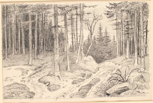 Camino hueco a través de un bosque de abetos de Johan Thomas Lundbye
