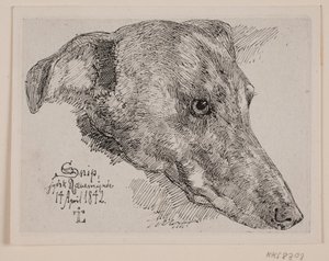 Cabeza de perro, Snip de Johan Thomas Lundbye
