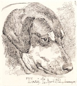 Cabeza de perro, Terry de Johan Thomas Lundbye