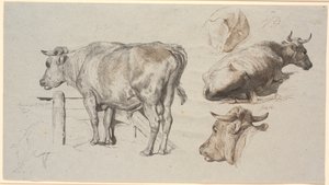 Estudios de Ganado. A la izquierda, el toro Grev Geert de Johan Thomas Lundbye