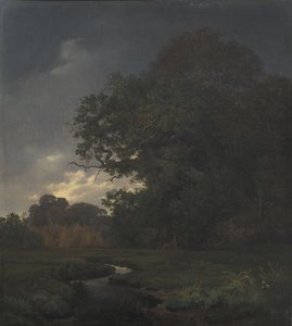 Paisaje en clima nublado. Tarde de Johan Thomas Lundbye