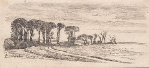 Paisaje con una fila de árboles