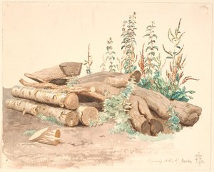 Algunos troncos de árboles caídos, un abrevadero y varias plantas de Johan Thomas Lundbye