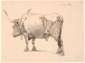 Toro romano con campana en el cuello, visto desde atrás de Johan Thomas Lundbye