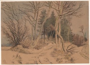 Caminos nevados entre abetos y árboles desnudos de Johan Thomas Lundbye