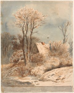 Paisaje nevado con casa entre árboles
