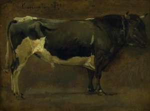 Toro de manchas negras