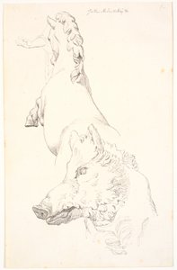 Estudio de esculturas antiguas: Cabeza de jabalí, torso de un caballo encabritado visto desde atrás y un brazo con drapeado de Johan Thomas Lundbye