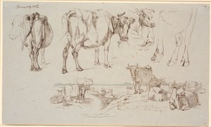 Hoja de estudio de Vognserup. Arriba, estudios de vacas, paisaje con vacas de pie y acostadas de Johan Thomas Lundbye