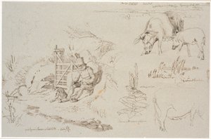 Estudio de hoja de Vognserup. A la izquierda, un pastor (el viejo Rasmus Larsen) sentado con un perro junto a una puerta. En primer plano, un estudio de paisaje con nombres de lugares. Debajo, dos cerdos. A la derecha, un estudio de juncos en un lago. Deba de Johan Thomas Lundbye