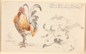 Hoja de estudio con un gallo y una planta de acedera de Johan Thomas Lundbye
