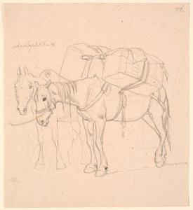 Dos caballos con carga