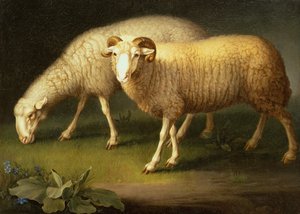 Un carnero y una oveja (óleo sobre lienzo) de Johan Wenzel Peter