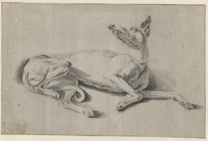Galgo reclinado de Johan le Ducq (possibly)