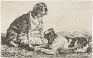 Dos perros de Johan le Ducq