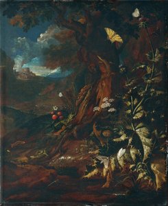 Paisaje con reptiles e insectos (I) de Johann Adalbert Angermayer