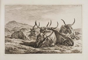 Bueyes recostados de Johann Adam Klein