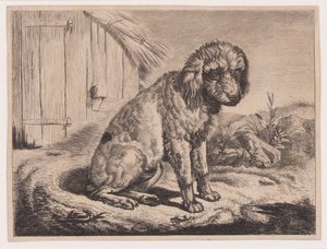 Perro sentado de Johann Adam Klein