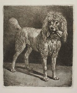  de Johann Adam Klein