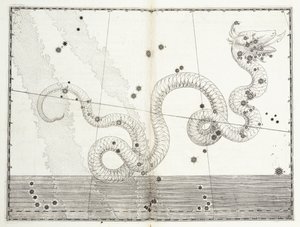 Constelación de Serpens Caput y Serpens Cauda, c.1603 de Johann Bayer