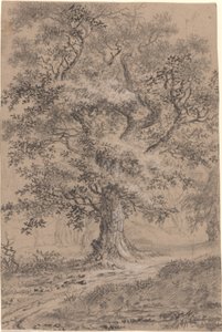 Un roble frondoso junto a un sendero en el bosque de Johann Caspar Huber