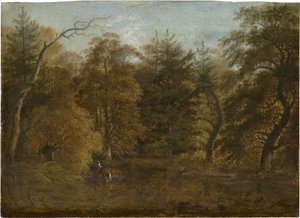 Paisaje forestal con estanque