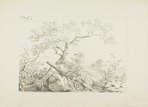 Árboles y rocas junto al agua de Johann Christian Klengel
